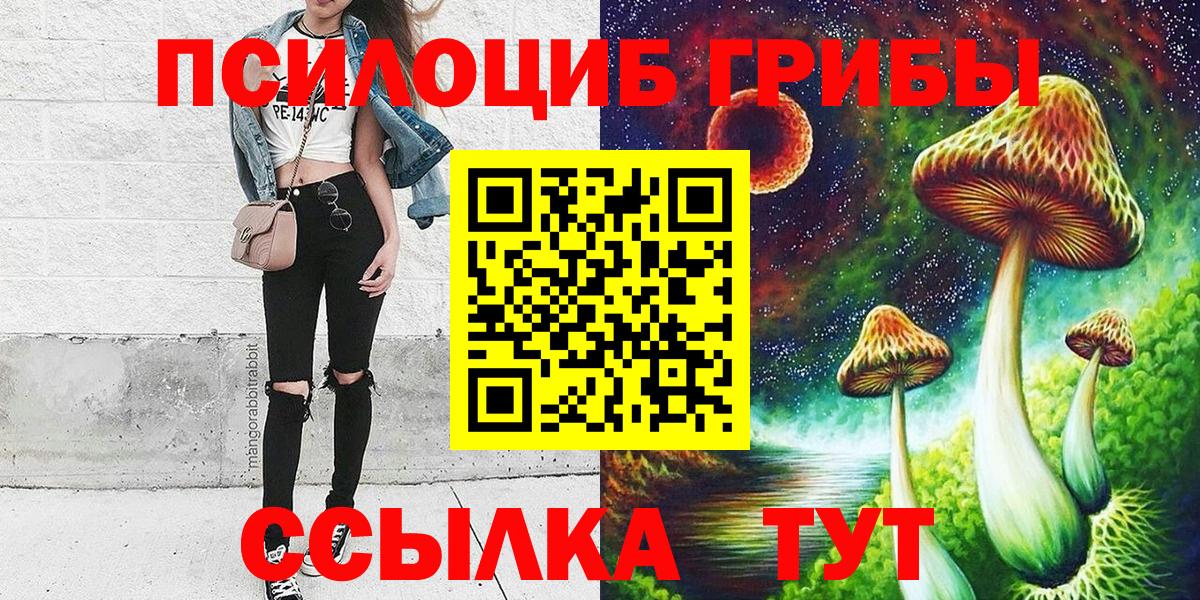 Будённовск  Псилоцибиновые грибы мицелий  Псилоцибиновые грибы ЛСД  Вход с VPN 