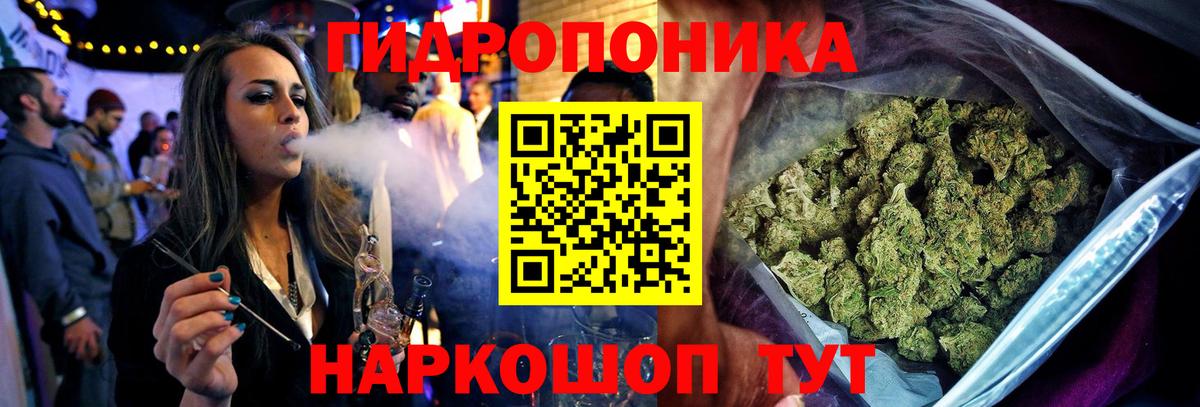 Бошки Шишки сатива Будённовск